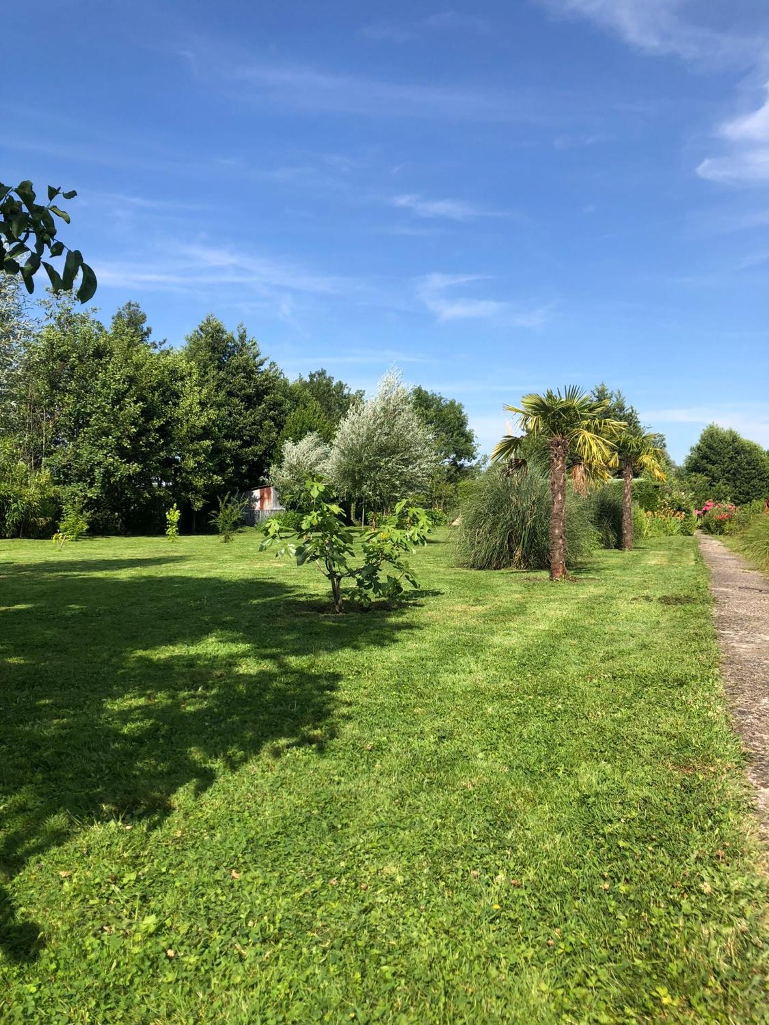 Le Chalet Des Hortillonnages Amiens Eksteriør billede